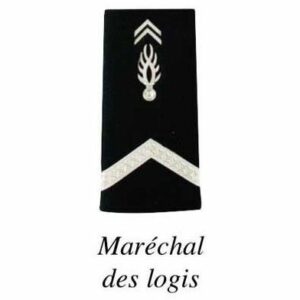 2 FOURREAUX GENDARMERIE DEPARTEMENTALE PLASTIFIE