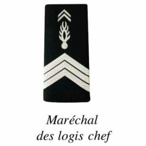 2 FOURREAUX GENDARMERIE DEPARTEMENTALE PLASTIFIE