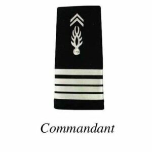 2 FOURREAUX GENDARMERIE DEPARTEMENTALE PLASTIFIE