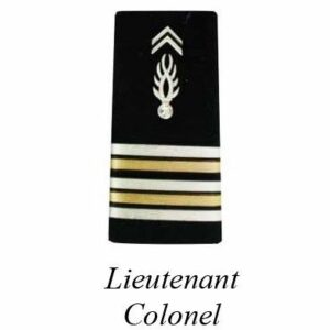 2 FOURREAUX GENDARMERIE DEPARTEMENTALE PLASTIFIE