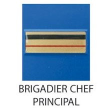 Grade Police Municipale plastifié en relief