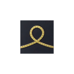 Grades Gendarmerie Départementale plastifiés en relief