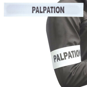 Brassard palpation